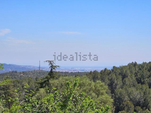 Terreno, Pallejà