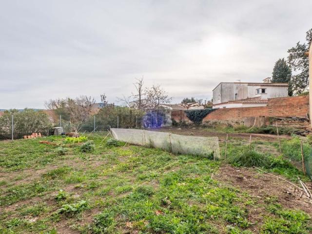 Terreno, Pals