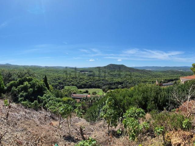 Terreno, Pals