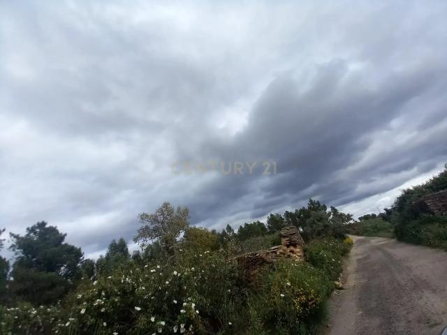 Terreno Panorâmico em Sarnadas de Ródão, Castelo Branco