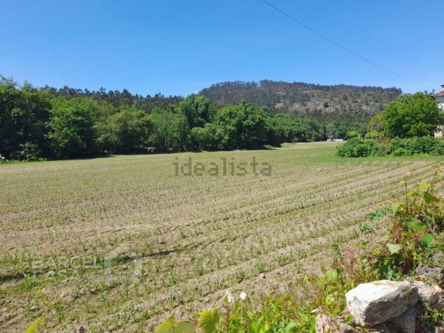 Terreno, Panque