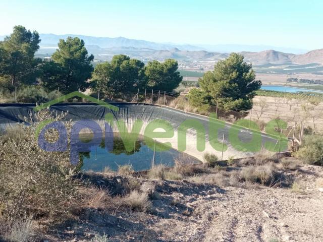 Terreno, pantano, almacén caseta La Escarihuela