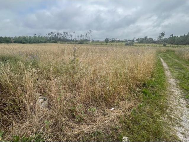 Terreno para construçao Bajouca