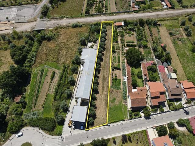 Terreno para construção Miranda do Corvo
