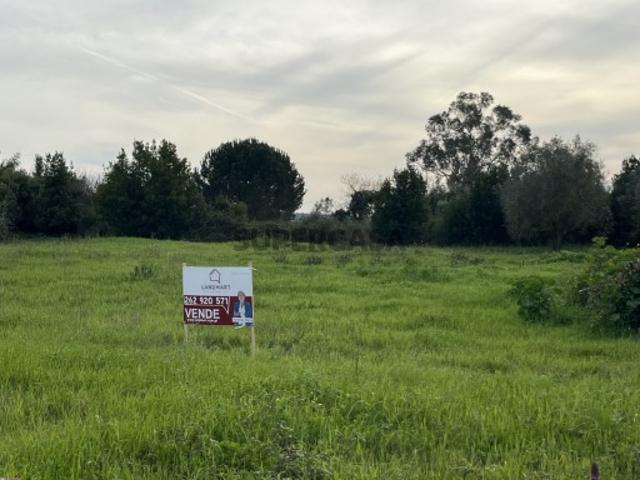 Terreno para construção, Moleanos