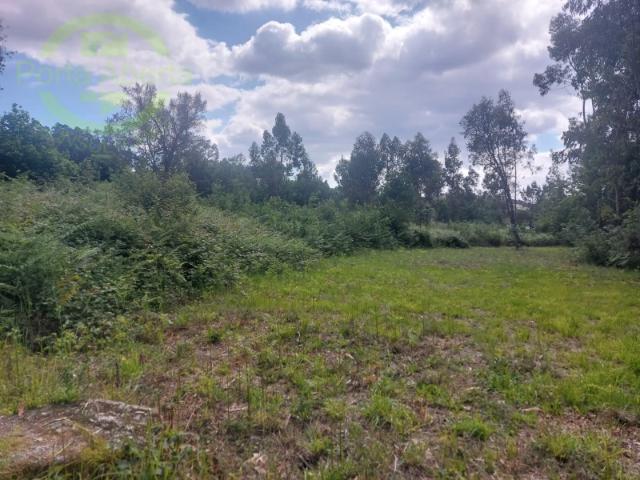 Terreno para Construção Monte Córdova, Santo Tirso