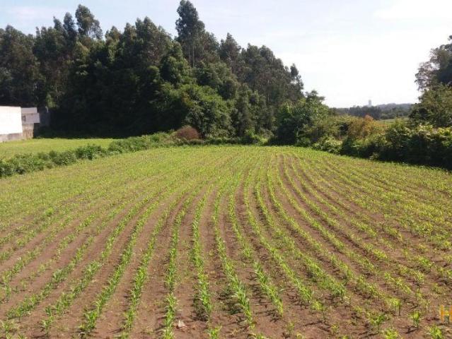 terreno para construção moradia | 26061663060