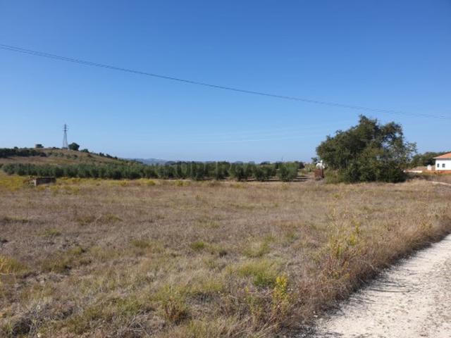 Terreno para Construção na Batalha
