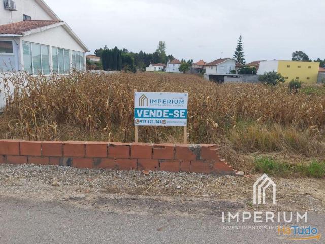 Terreno para construção na Branca | 26063418726