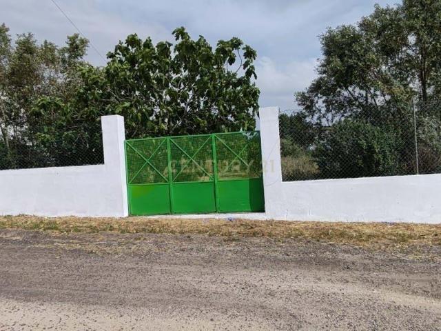 Terreno para Construção – Na Freguesia de Santo Isidro de Pegões | 629 m²