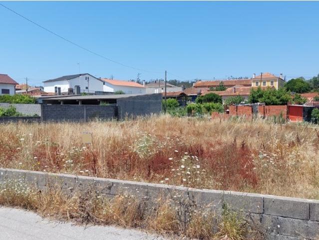 Terreno para construção nas Várzeas Souto da Carpalhosa