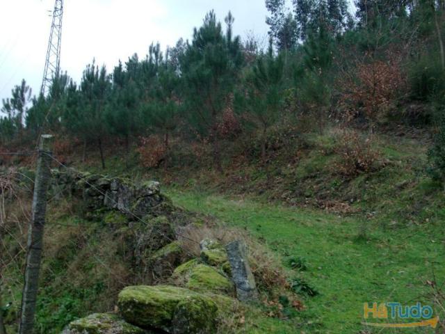 Terreno para construção no Ermal com área de 11800m2. Venha conhecer, pessoalmente. | 26083709201