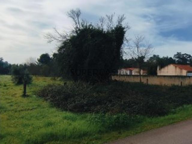 Terreno para Construção Oliveira do Bairro