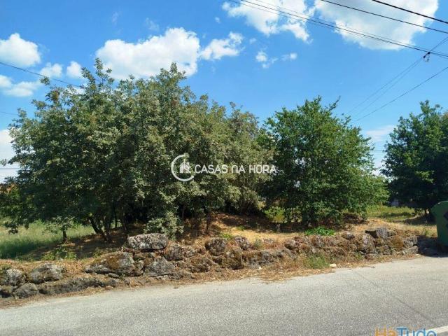 Terreno Para Construção Orgens Viseu | 26084091665