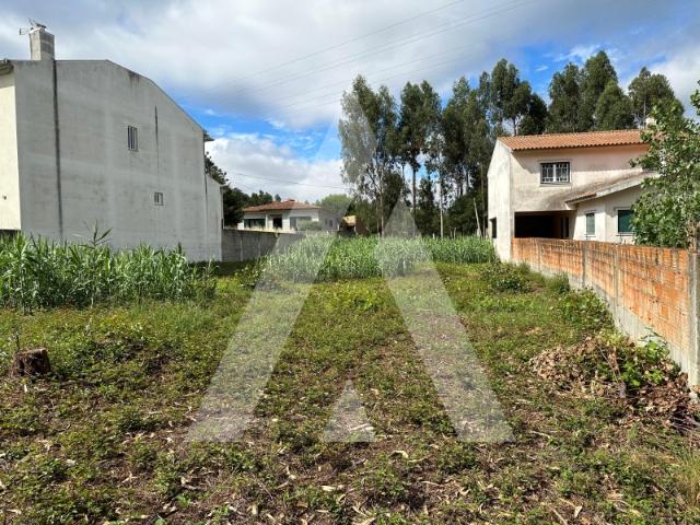 Terreno para Construção Bustos Oliveira do Bairro