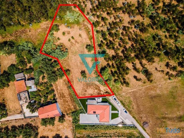Terreno para Construção c/ 2777 m2 Pinheiros / LEIRIA | 26074079407