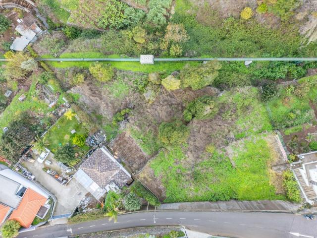 Terreno para construção Calheta