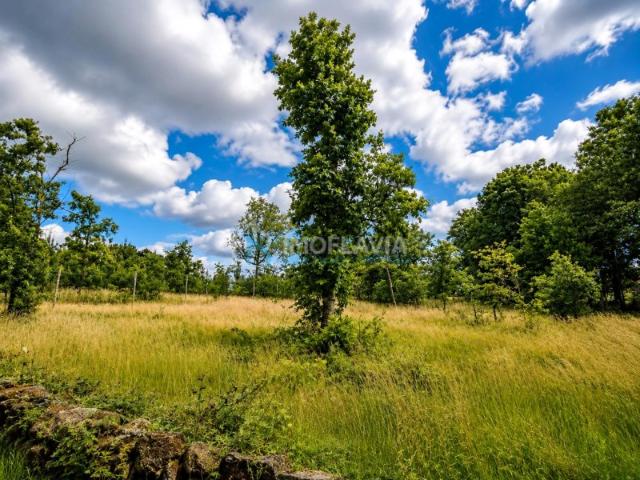 Terreno para Construção com 840m² em Cando Valdanta | A 5 Minutos de Chaves