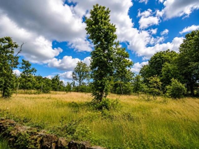 Terreno para Construção com 840m² em Cando Valdanta | A 5 Minutos de Chaves