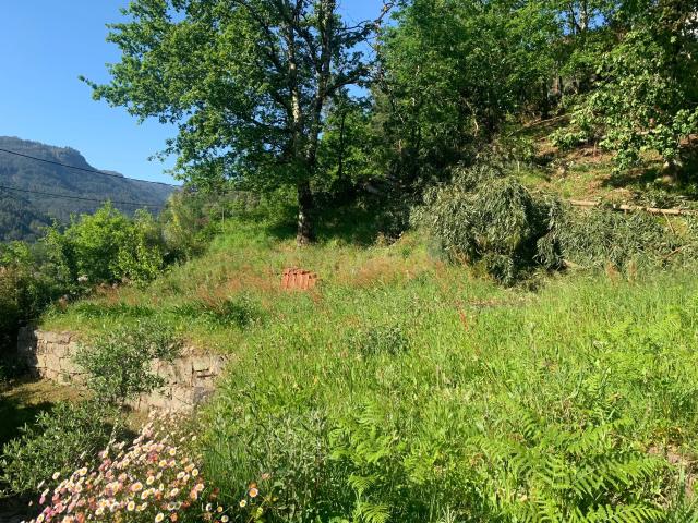 Terreno para Construção com 1000,2 m² na Vila do Gerês – Vilar da Veiga