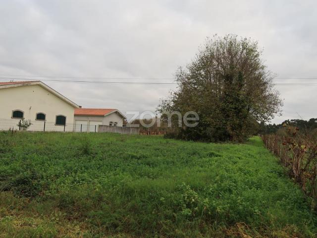 Terreno para construção com 1300m2