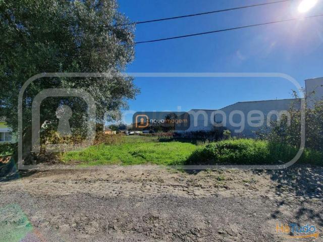 Terreno para construção com 2000m2 | 26063426134