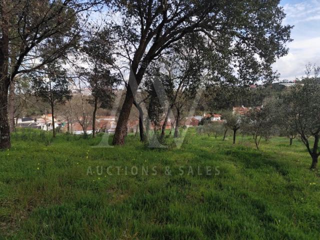 Terreno para construção com área de 2.541 m² Parceiros, Leiria