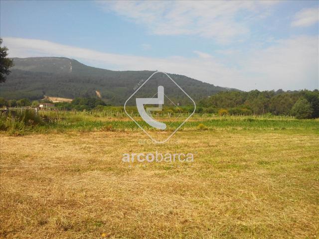 Terreno para construção com cerca de 6000m2