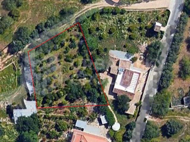 Terreno para construção com PIP Aprovado