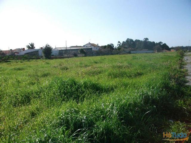 Terreno para Construção de Moradia | 26060049733