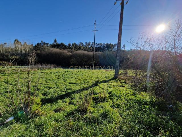 Terreno para construção de Moradia em Cartaria