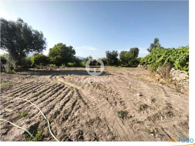 Terreno para construção de moradia em Barcelos | 26084095908