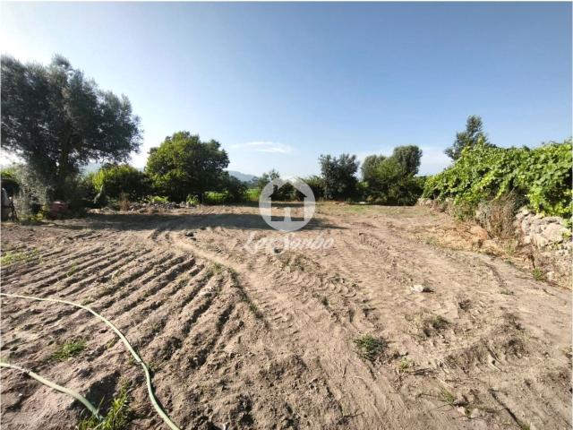 Terreno para construção de moradia em Barcelos