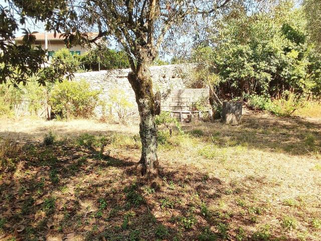 Terreno para construção de moradia em Geria, às portas da cidade de Coimbra