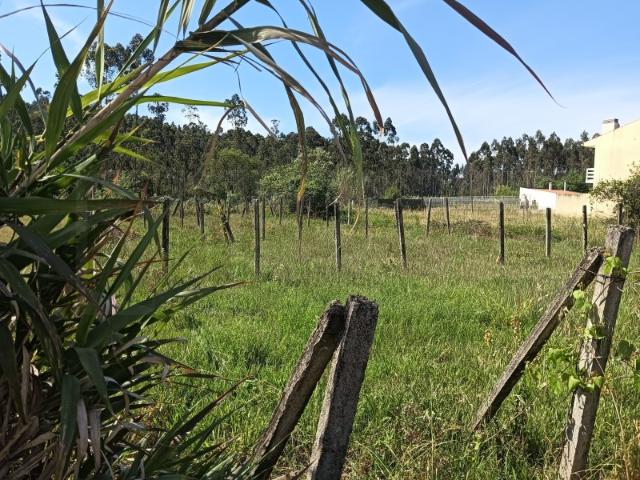 Terreno para construção de moradia Oliveira do Bairro