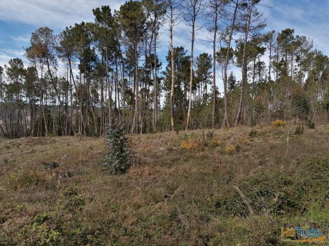 Terreno para construção de moradia unifamiliar. | 26063351040