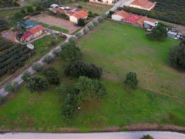 Terreno para construção de moradias em Anadia