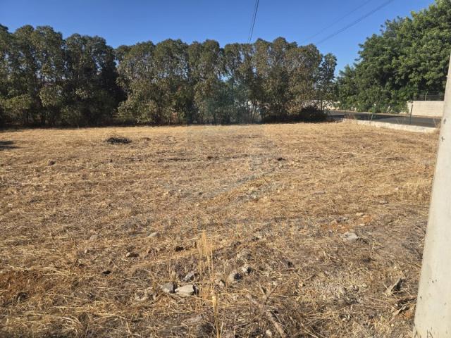 Terreno para construção de moradias em Faro
