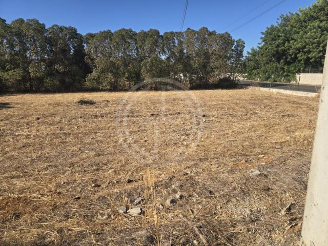 Terreno para construção de moradias em Faro