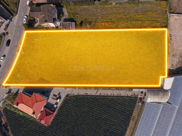 Terreno para construção de moradias, Estela, Póvoa de Varzim
