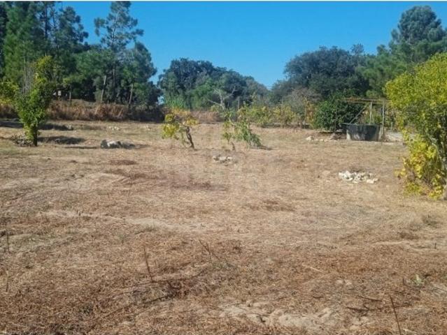 Terreno para construção de moradias Sesimbra, Castelo