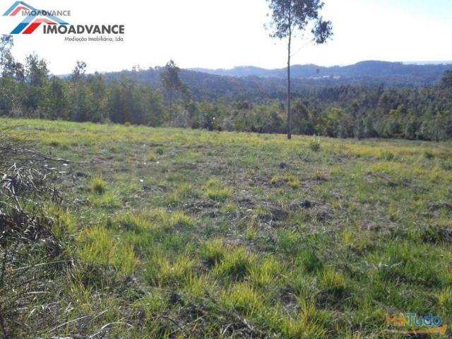 Terreno para Construção de Armazém Figueira da Foz | 26061209712