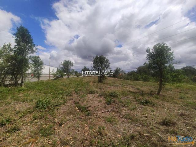 Terreno para construção de Armazéns | Moradias | Águeda | 26083319846