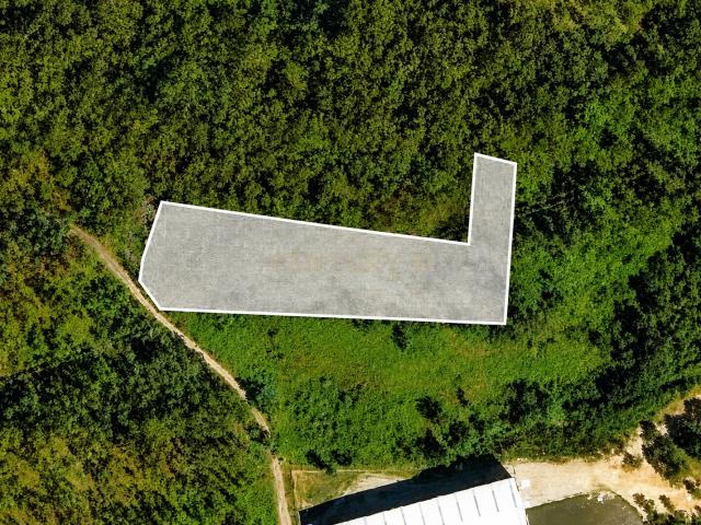 Terreno para construção de empresa/pavilhão afeto a Atividades Económicas/Industriais, Oliveira de Azeméis 3870m²