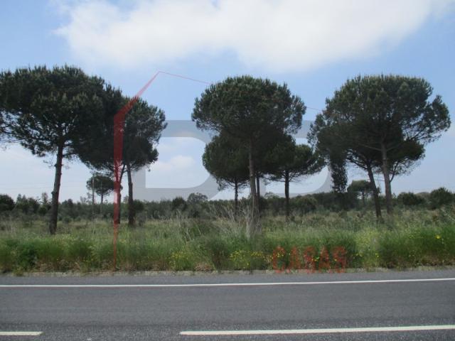 Terreno para construção de prédio