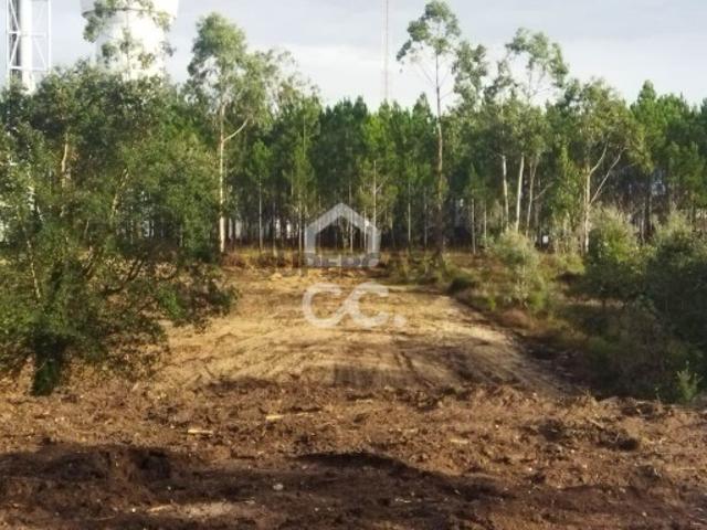 Terreno para construção em Monte Real