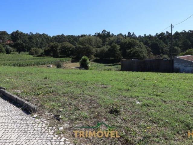 Terreno para Construção em Oliveira de Azeméis | 26064083025