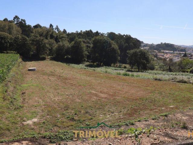 Terreno para Construção em Oliveira de Azeméis | 26064083026