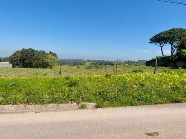 Terreno para construção em Aljubarrota