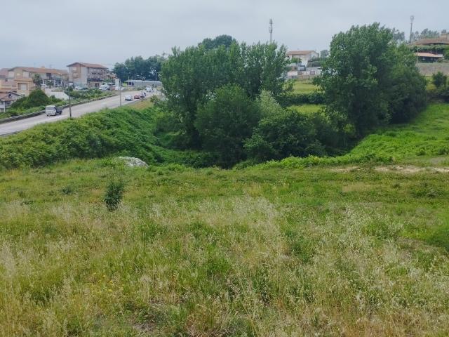 Terreno para construção em altura em Pinheiro da Bemposta